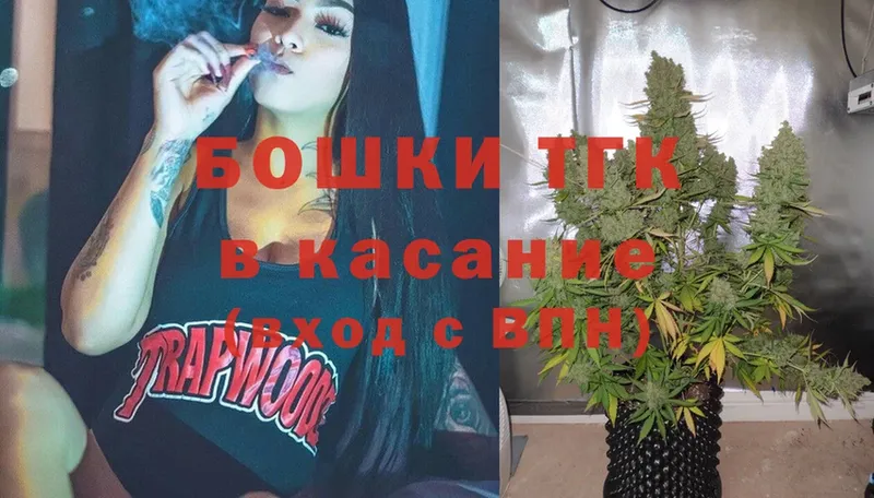 МАРИХУАНА SATIVA & INDICA  закладка  Гатчина 